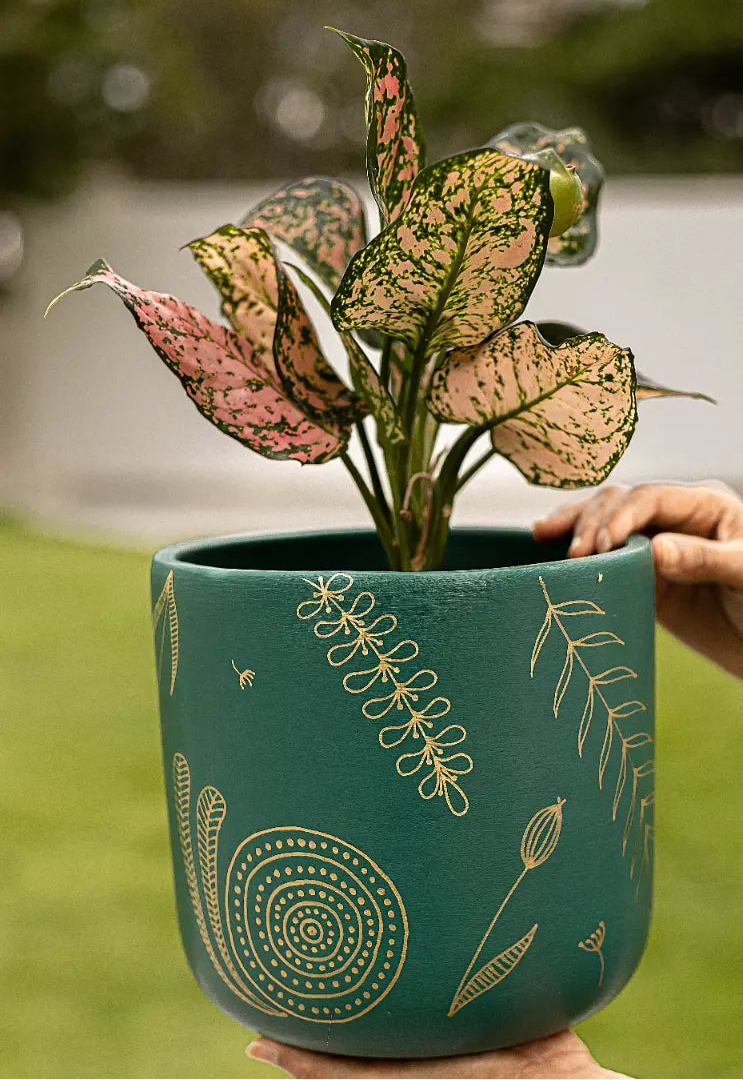 Golden Feather Planter