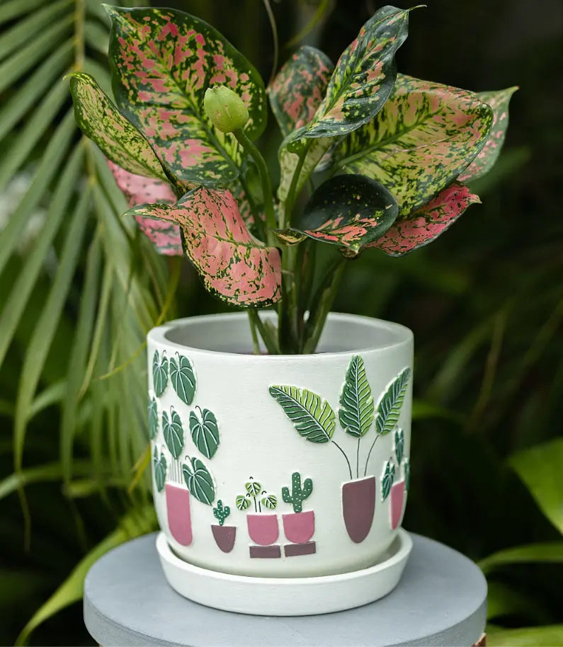 3D Embossed Planter (off-white) - 6 Inches