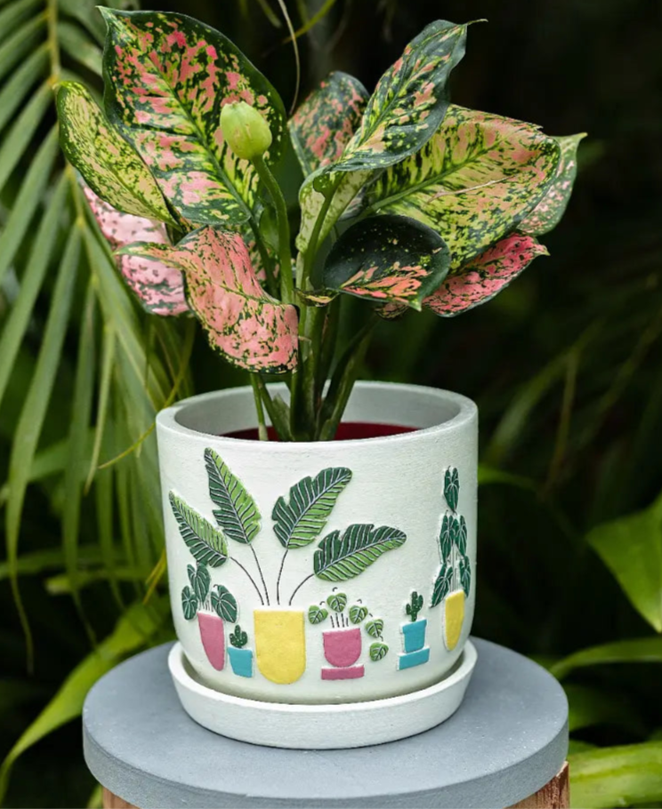 3D Embossed Planter (off-white) - 6 Inches
