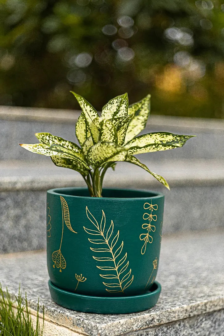 Golden Feather Planter