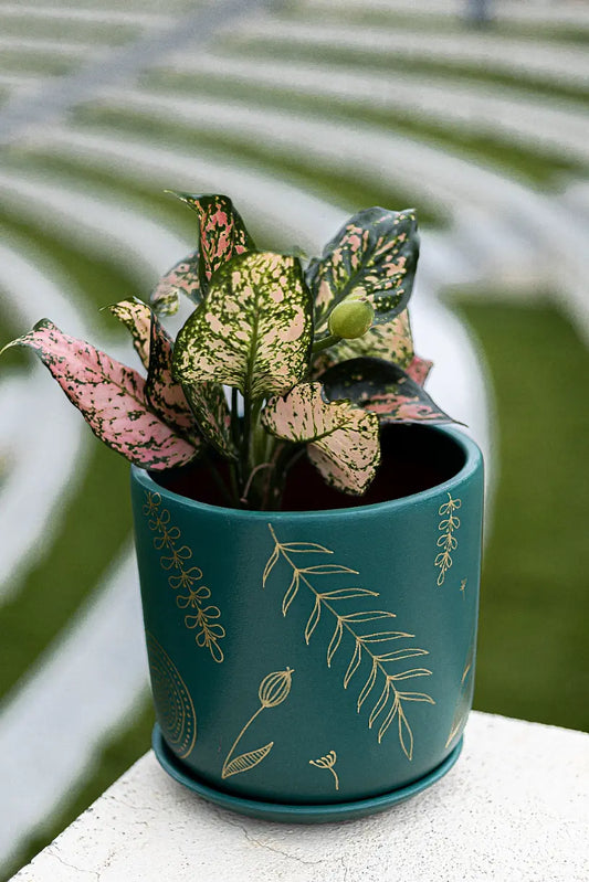 Golden Feather Planter