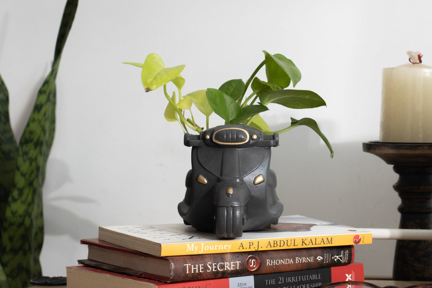 Scooter Planter / Organizer