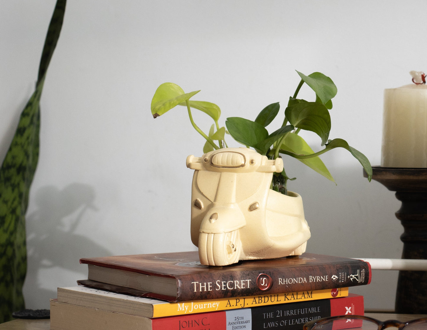 Scooter Planter / Organizer