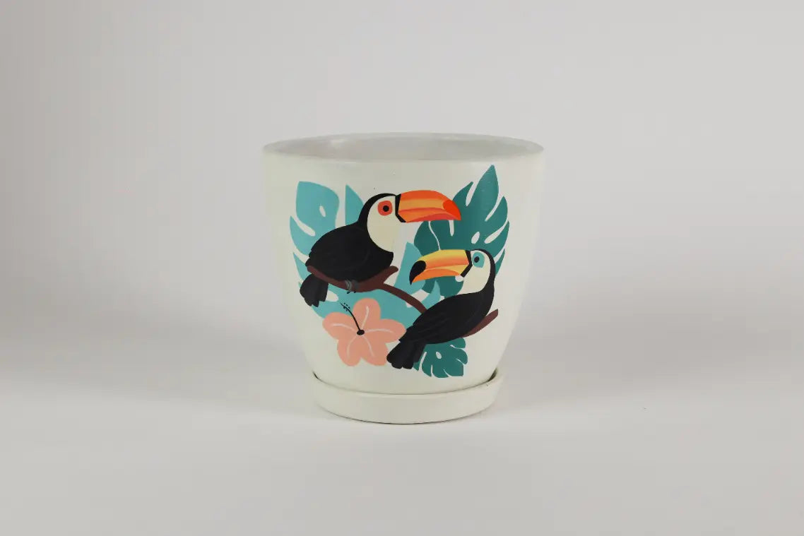 Toucan (D) Planter
