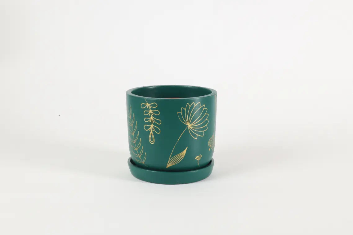 Golden Feather Planter