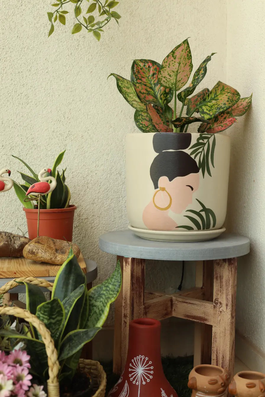 Boho Planter