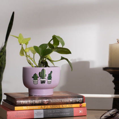 Bowl Planter Lavender Hand Painted Planters Craft Delights India