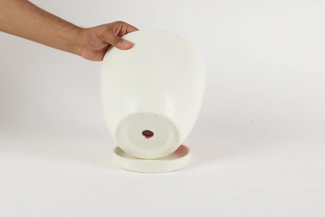 Florab Planter