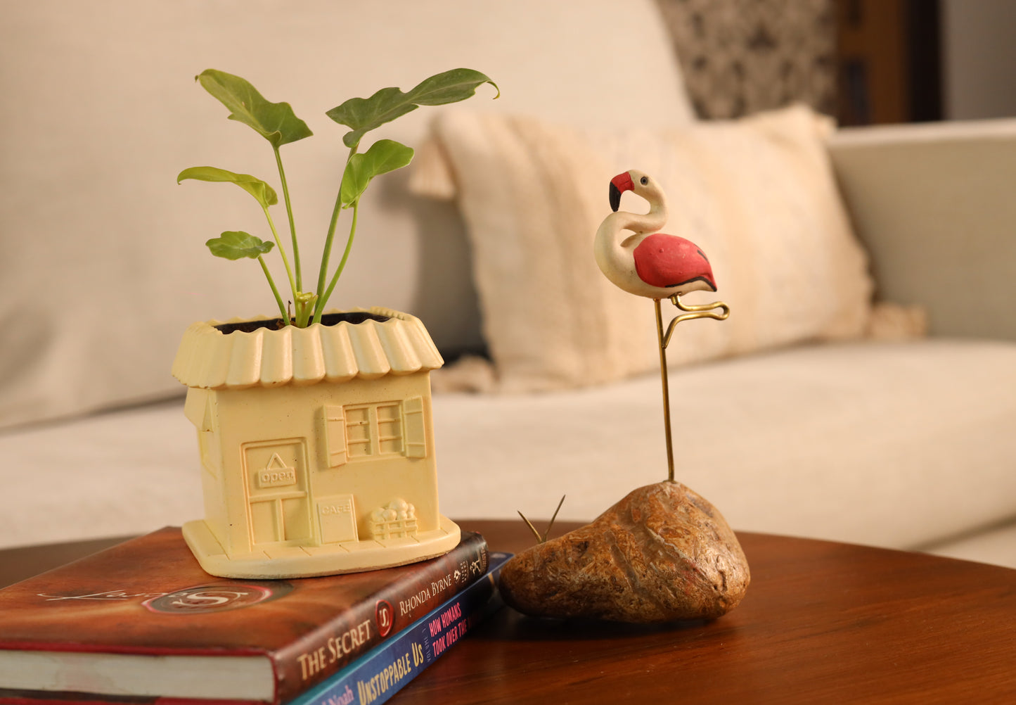 House Planter / Organizer