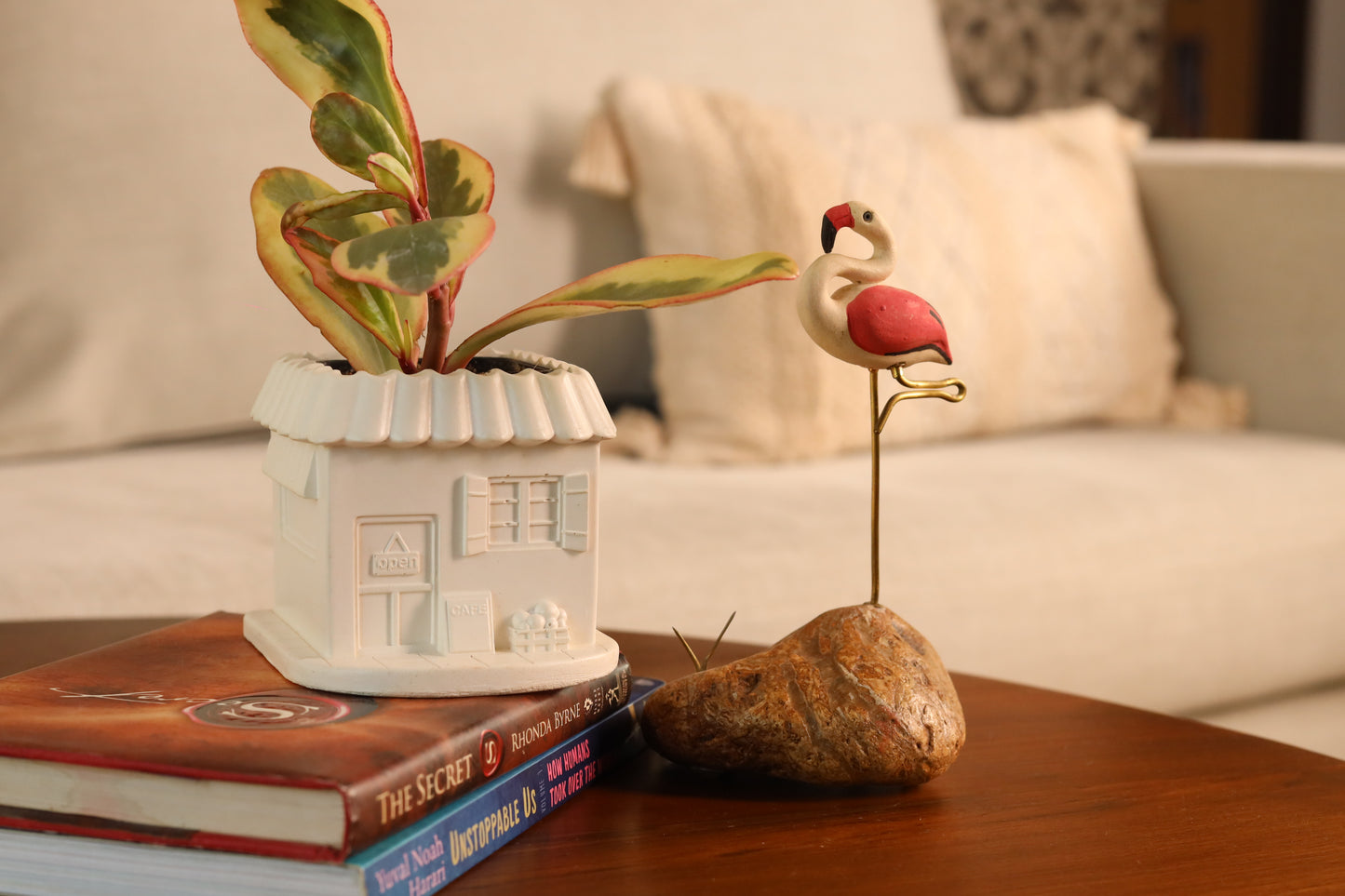 House Planter / Organizer