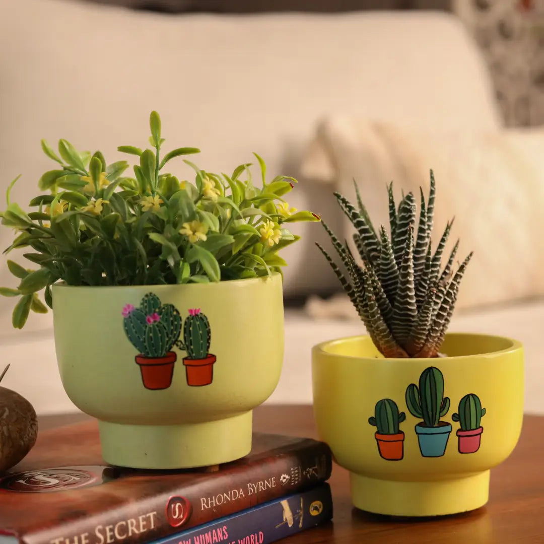 Concrete Planters