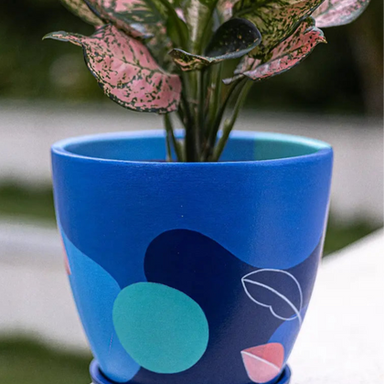 Blue Blast Planter