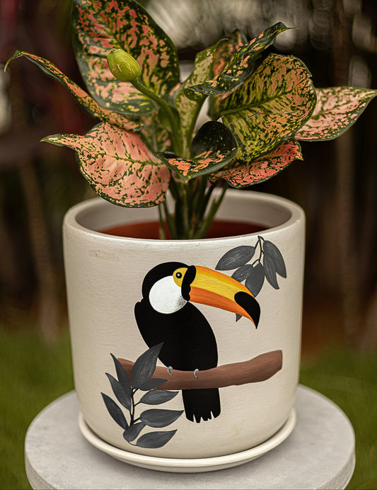 Toucan (S) Planter