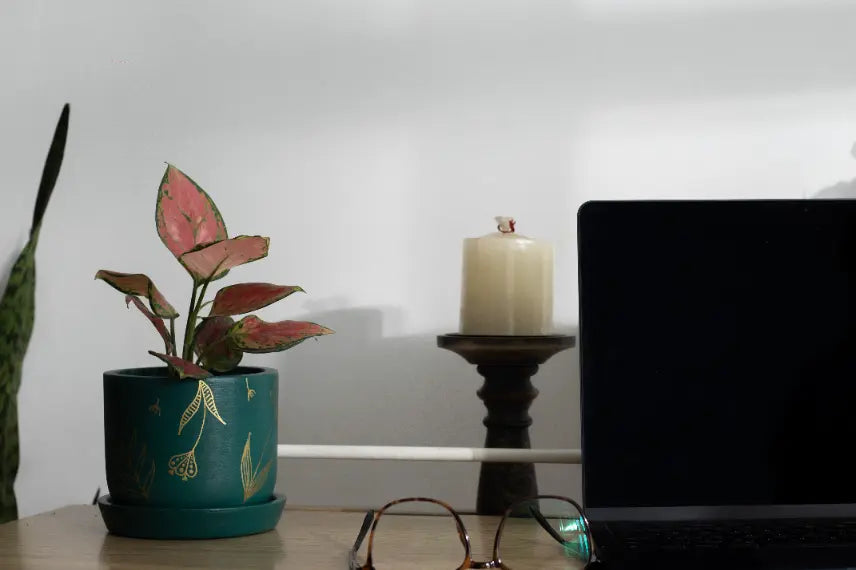 Golden Feather Planter
