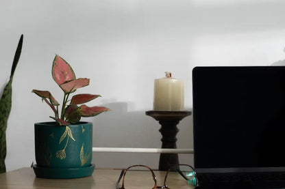 Golden Feather Planter