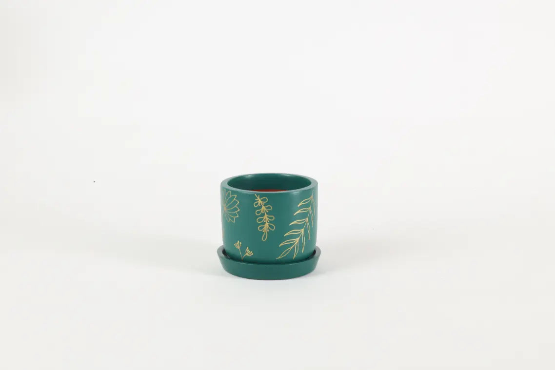 Golden Feather Planter