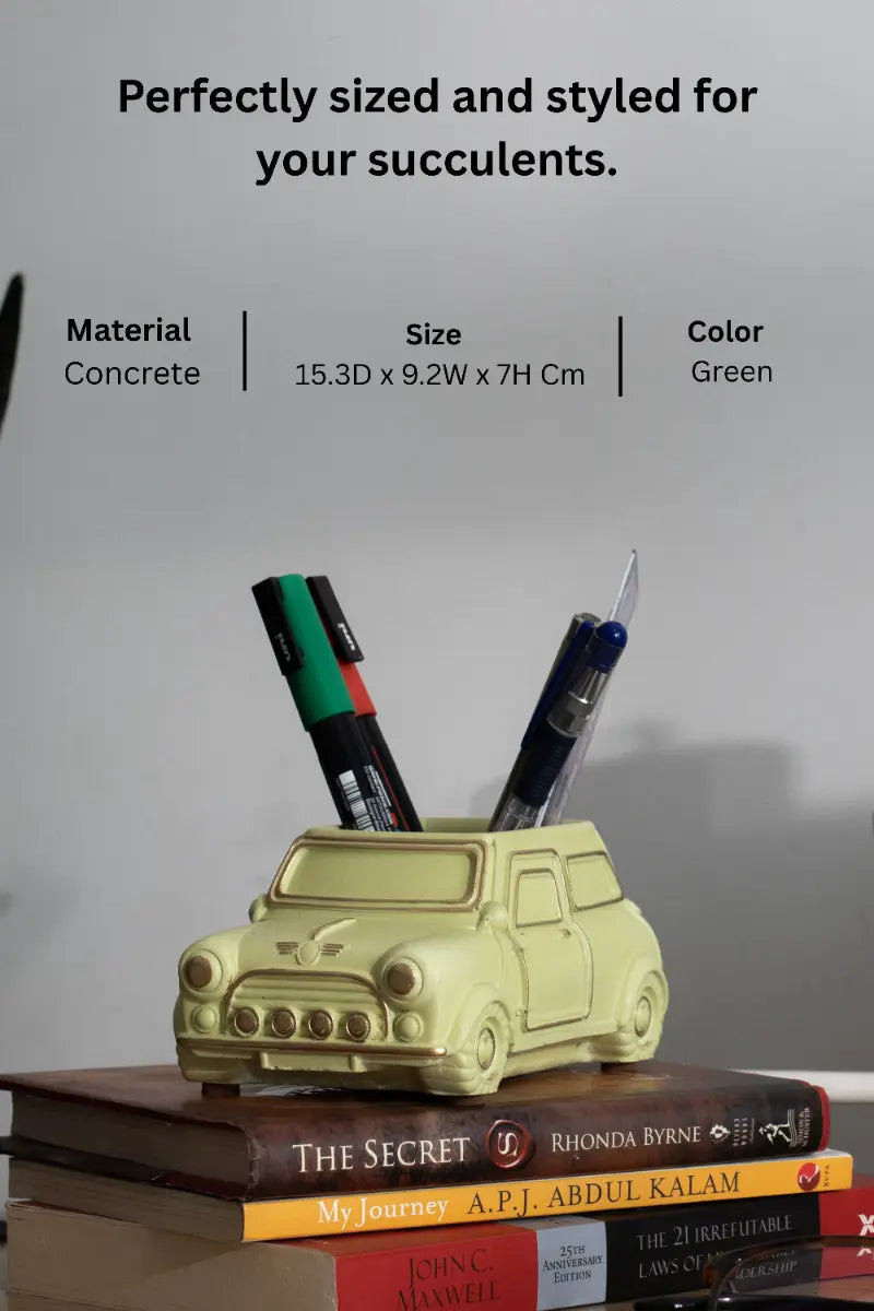 Car Planter / Organizer