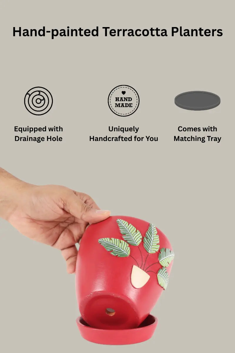 3D Embossed Planter Salsa Red 4.5 Inches Eco Friendly Gifts Terracotta Pots Online