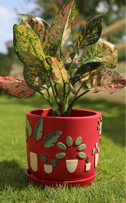 3D Embossed Planter Salsa Red 6 Inches Decorative Garden Planters Gifts For Office Desk