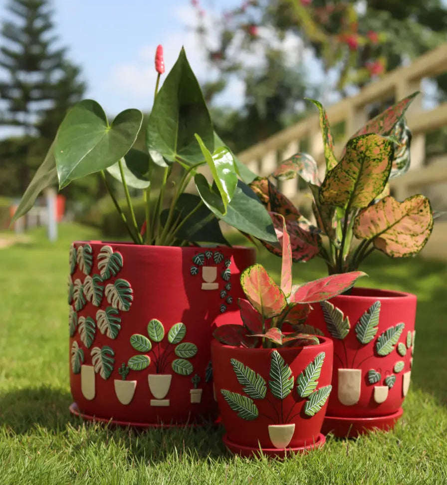 3D Embossed Planter Salsa Red Set of 3 Handmade Terracotta Planters Terracotta Pots Online