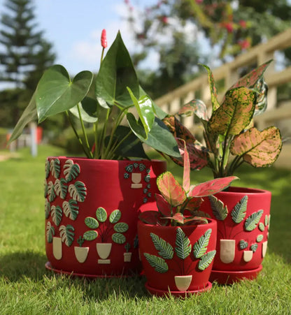 3D Embossed Planter Salsa Red Set of 3 Handmade Terracotta Planters Terracotta Pots Online