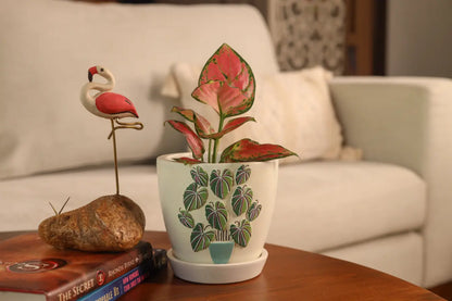 3D Embossed Planter off white 4.5 Inches Eco Friendly Gifts Terracotta Pots Online