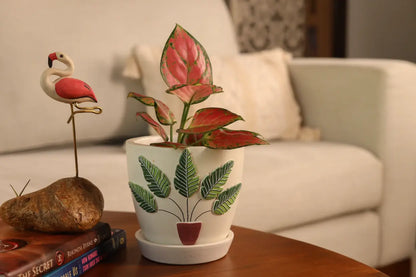 3D Embossed Planter off white 4.5 Inches Mini Hand-painted Pots Unique Gifting Ideas