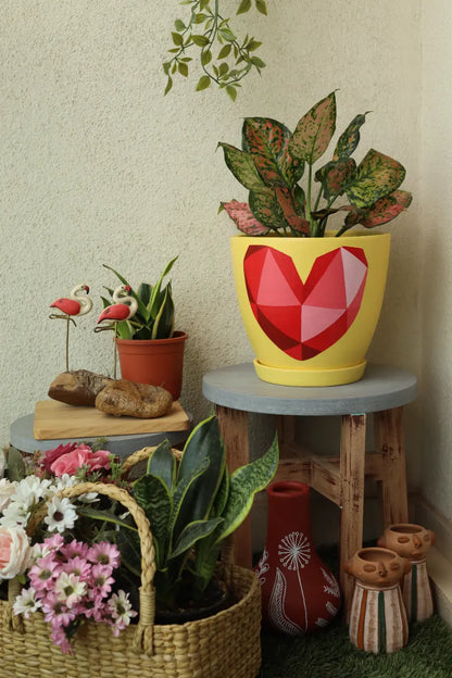 3D Heart Planter Decorative Garden Planters Gifts For Office Desk