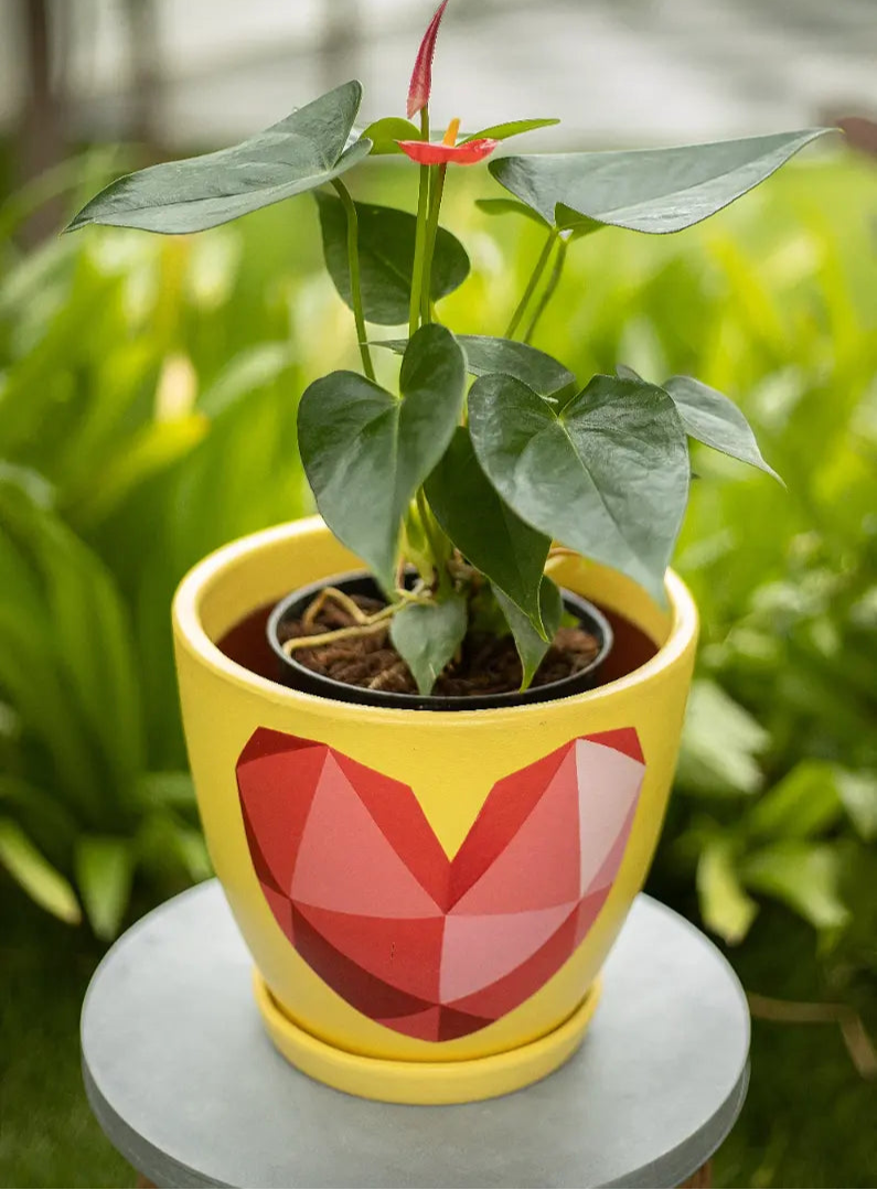 3D Heart Planter Hand Painted Planters Premium Home Décor