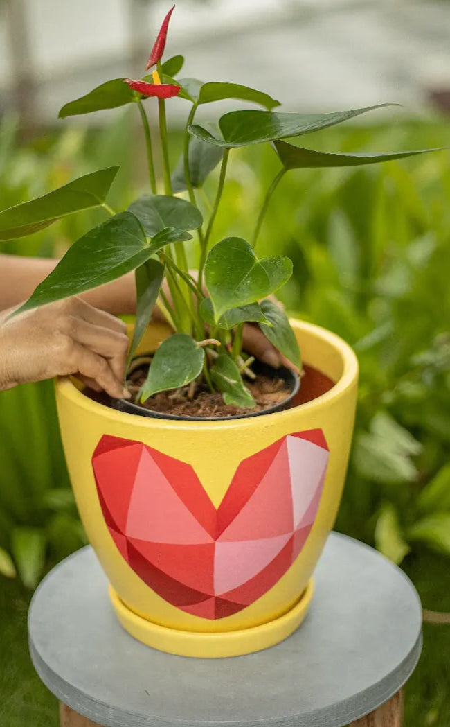 3D Heart Planter Terracotta Pots Online India Eco Friendly Gifts