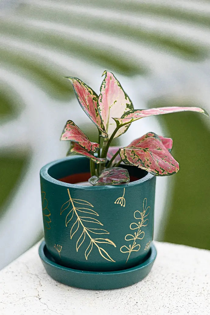 6 Inch Golden Feather Planter Handcrafted Gifts