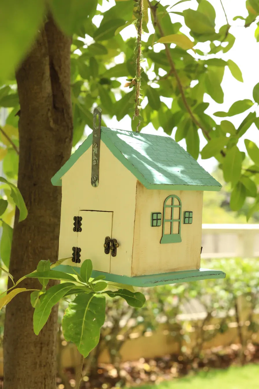 Aashiaana Birdhouse Bird Feeder for Garden Outdoor Planters Layout