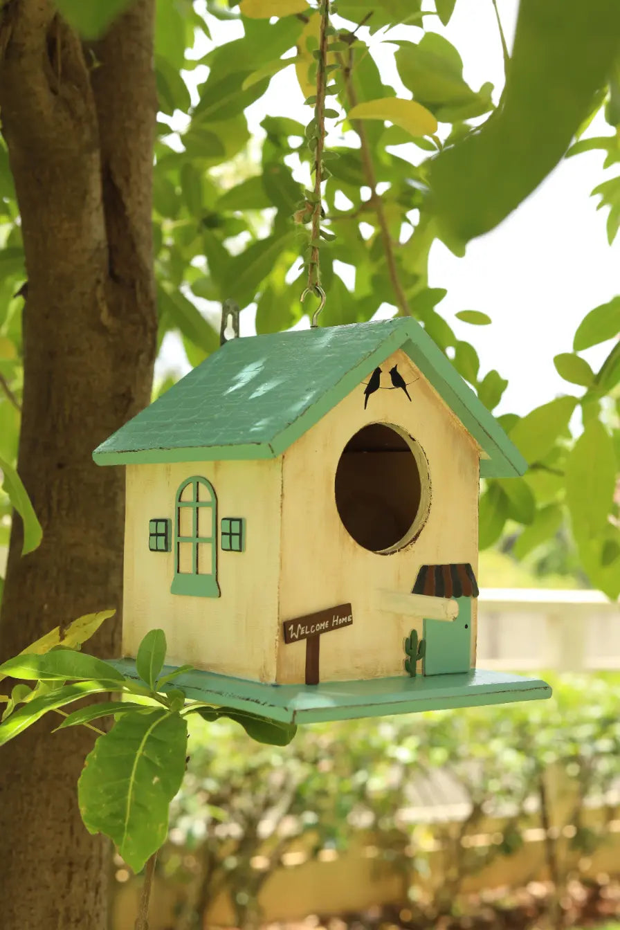 Aashiaana Birdhouse Hand Painted Planters Companion Premium Home Décor