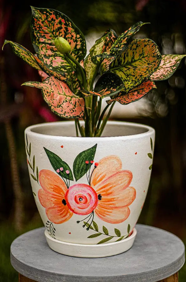 Blossom Bliss Planter Hand Painted Planters Premium Home Décor