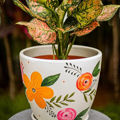 Blossom Bliss Planter Handmade Terracotta Planters Craft Delights India