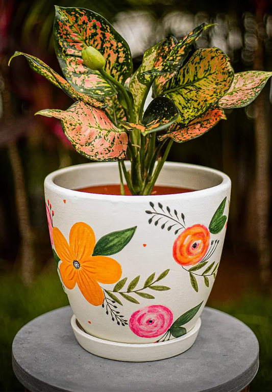 Blossom Bliss Planter Handmade Terracotta Planters Craft Delights India