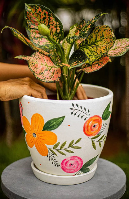 Blossom Bliss Planter Terracotta Pots Online India Eco Friendly Gifts