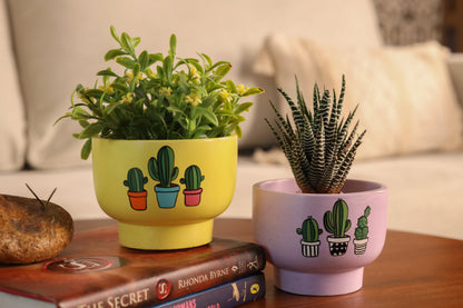 Bowl Planter Lavender Yellow Pastel Collection Set