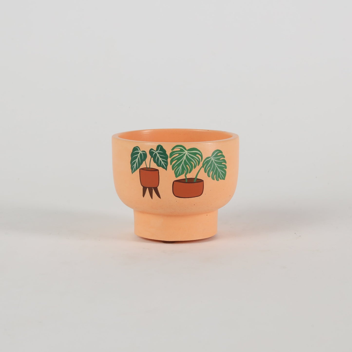 Bowl Planter Orange Handcrafted Gifts For Birthdays and Housewarmings