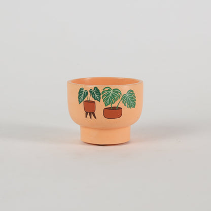 Bowl Planter Orange Handcrafted Gifts For Birthdays and Housewarmings