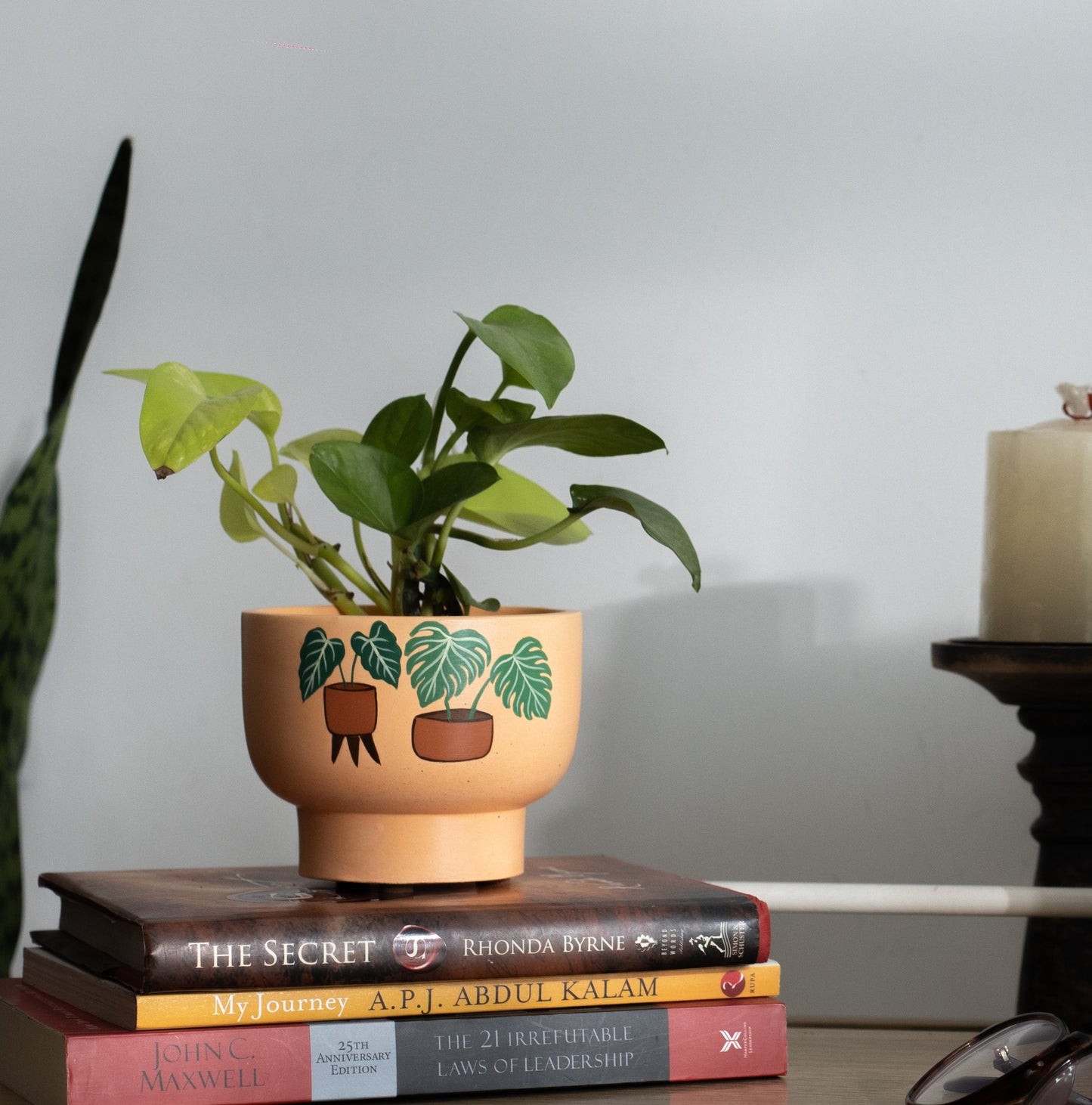 Bowl Planter Orange Vibrant Hand-painted Pots Unique Gifting Ideas