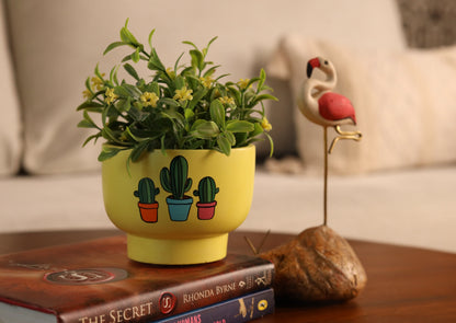 Bowl Planter Yellow Indoor Planters Miniature Pots