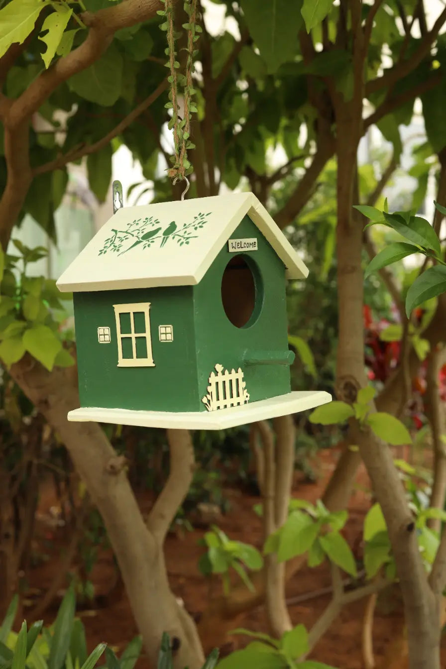Chirpy Hut Birdhouse Hand Painted Planters Companion Premium Home Décor