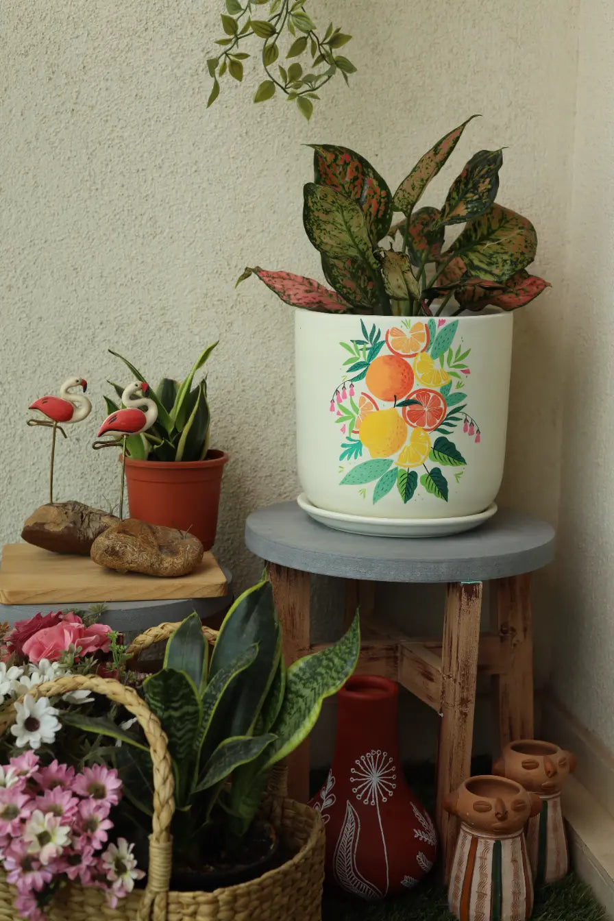 Citrus Planter Hand Painted Planters Premium Home Décor
