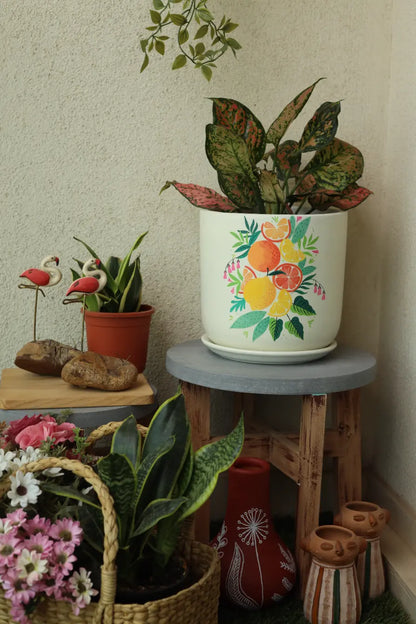 Citrus Planter Hand Painted Planters Premium Home Décor