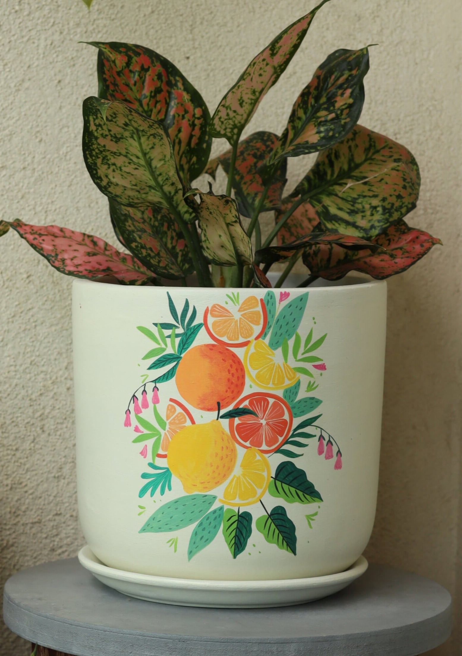 Citrus Planter Handmade Terracotta Planters Craft Delights India
