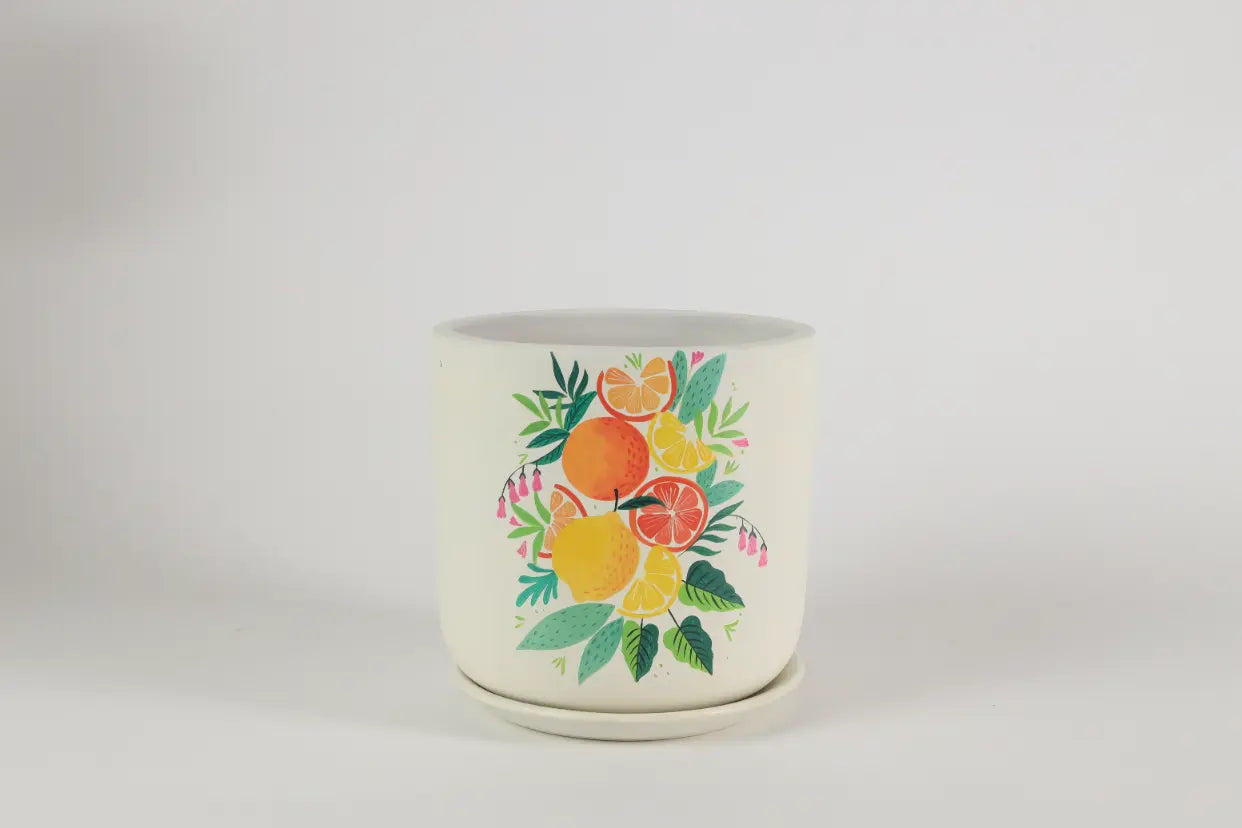 Citrus Planter Terracotta Pots Online India Eco Friendly Gifts