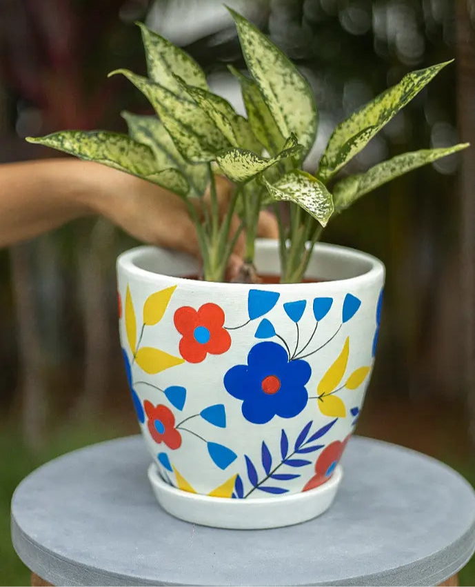 Floral Planter Terracotta Pots Online India Eco Friendly Gifts