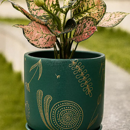 Hand Painted Planters Premium Home Décor 8 inches