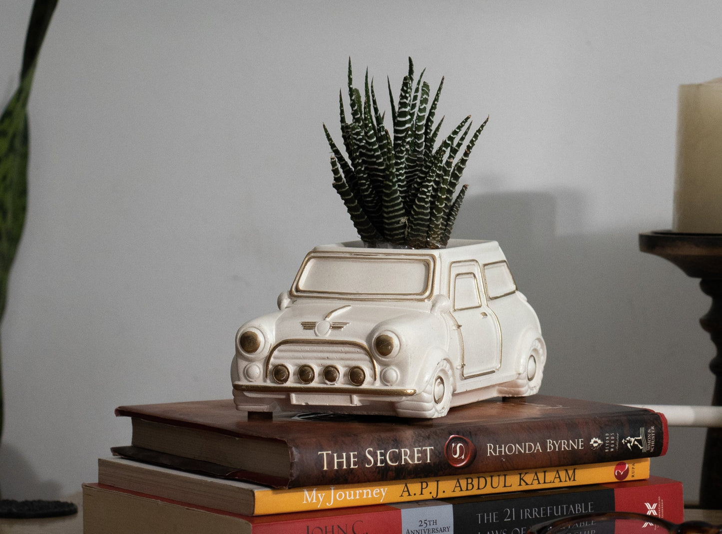 Handcrafted Concrete Car Planter/Organizer White